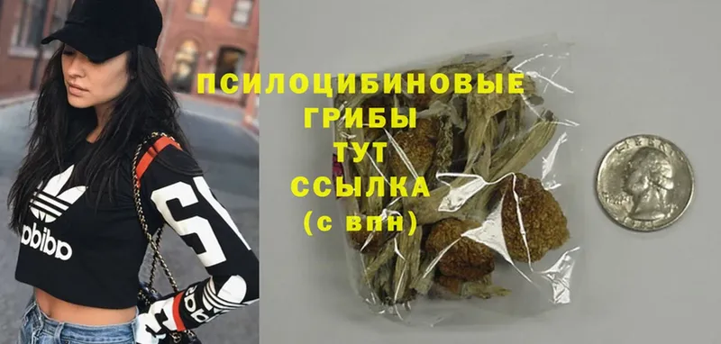 наркота  shop формула  Псилоцибиновые грибы Psilocybe  Североуральск 